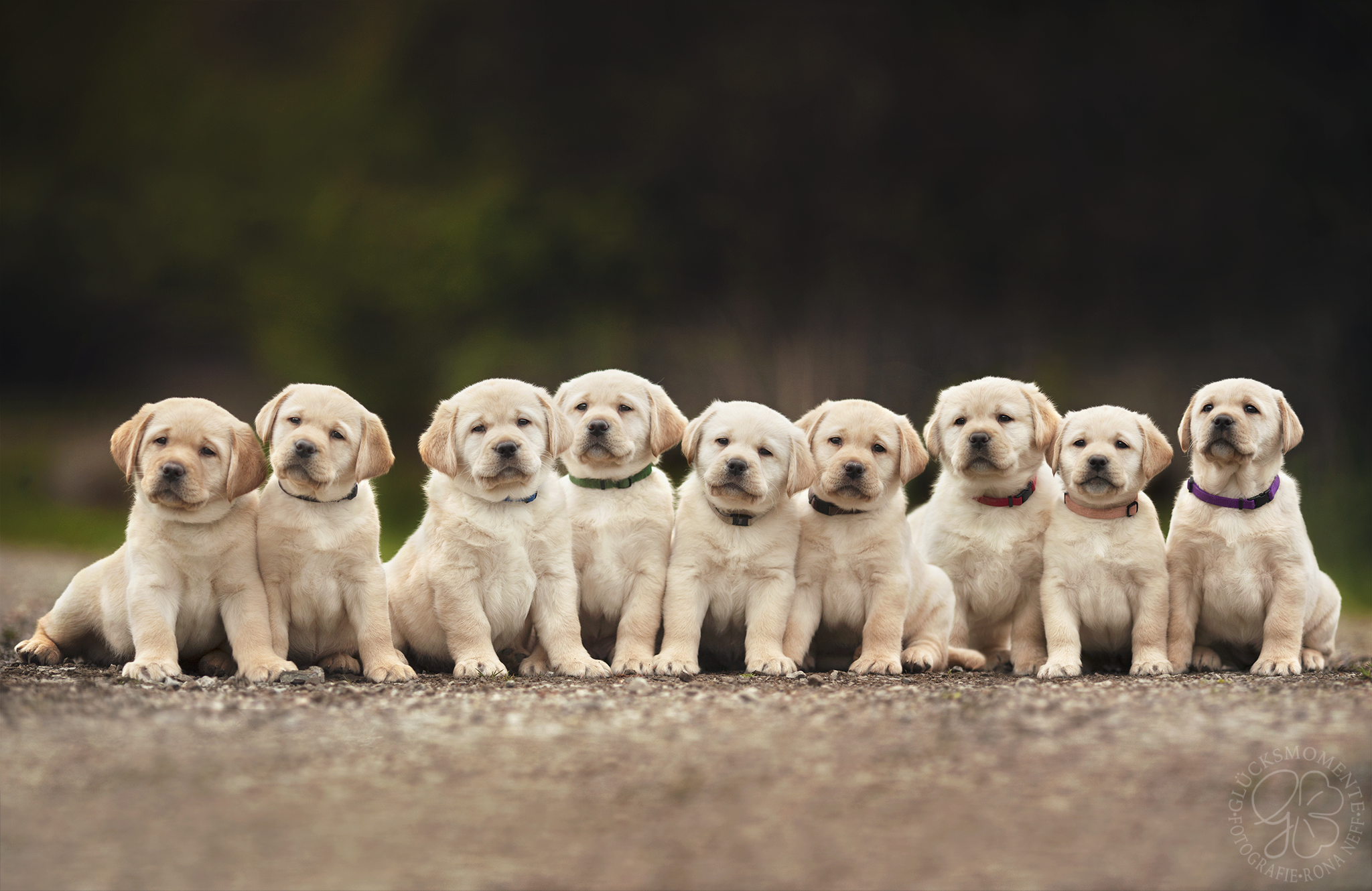 Gruppenbild_Present