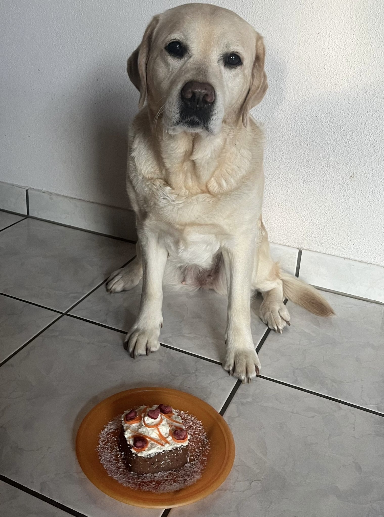 c2997695-9eca-4d3f-b3ac-d3cf90547fd0