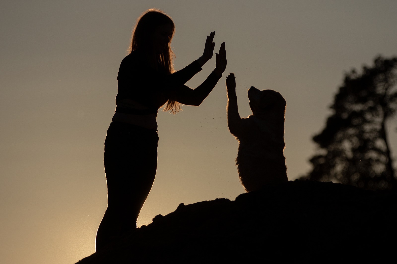 81637bdd-67d4-4de4-a874-27af1f1753b0